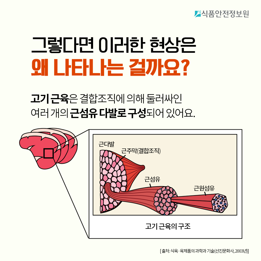 [식품안전뉴스] 고기에서 초록 형광빛이 돌아요, 먹어도 되는 건가요? 사진_5