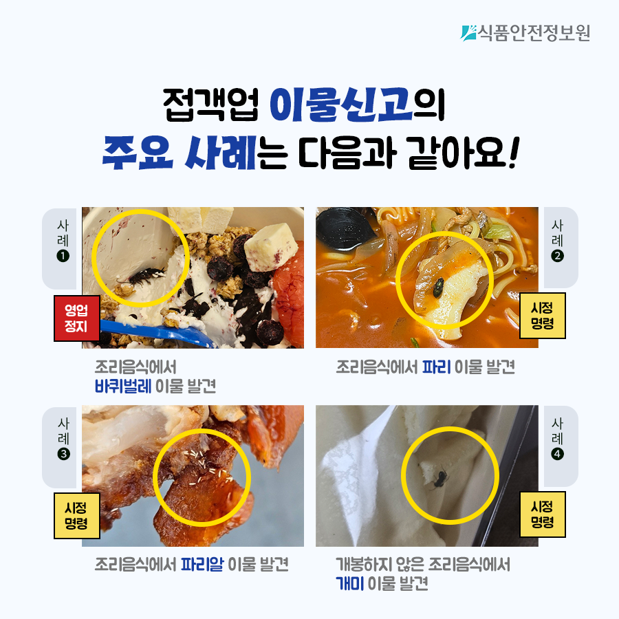 [식품안전뉴스] 해충! 음식점 출입금지! 이렇게 예방하세요. 사진_3